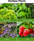 Fresh leafy greens, culinary herbs, vibrant flowers, and strawberries grown using Space Saving Vertical Garden Tower With Wheels.