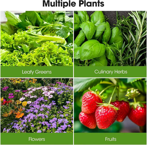 Fresh leafy greens, culinary herbs, vibrant flowers, and strawberries grown using Space Saving Vertical Garden Tower With Wheels.
