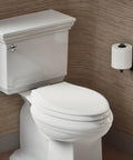 Angled front view of white ceramic elongated toilet with closed lid and chrome lever, against brown textured walls.