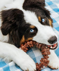 Textured Ring Power Chew Toy For Extra Large Dogs 50 Plus Lbs Durable Ring Shaped Chew Toy Built For Tough Chewers With Raised Surfaces That Clean Teeth And Massage Gums in brown, held by a puppy