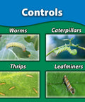 Image showing pests: worms, caterpillars, thrips, and leafminers, controlled by Spinosad Insecticide Concentrate For Lawn Garden And Citrus Trees 8 Oz Outdoor Pest Control Spray That Kills Caterpillars Leafminers Codling Moths Tent Caterpillars Gypsy Moths Fire Ants And More Bundled With Measuring Spoon.