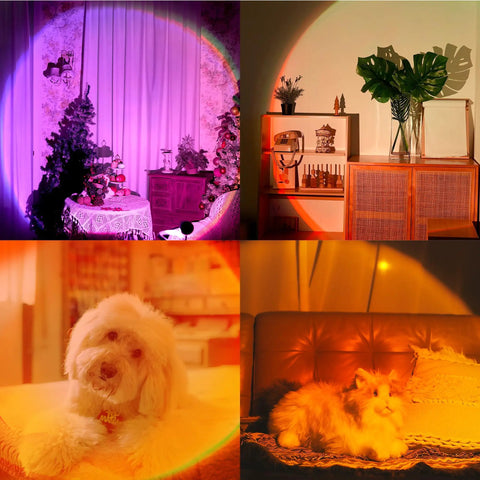 Sunset Projection Lamp With 21 Colors And 180 Degree Rotating Led Light For Party And Bedroom Decor App Control And Push Button Switch Create Romantic Sunset Ambiance Anywhere illuminating holiday decor, plants, and pets in a room.