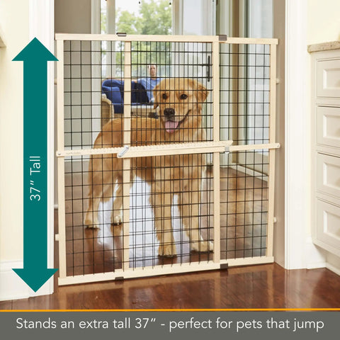 Expandable Wire Mesh Dog Gate For Doors And Hallways Pressure Mounted No Tools Needed 29.5 To 40 Inch Wide And 37 Inch Tall Durable American Hardwood Pet Gate With Vinyl Coated Mesh For Safe Home Boundaries shown with dog behind gate in doorway.