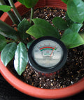 All-In-One Soil pH And Moisture Meter For Garden, Lawn And Farm Use, indoor plant tester kit in potted plant soil