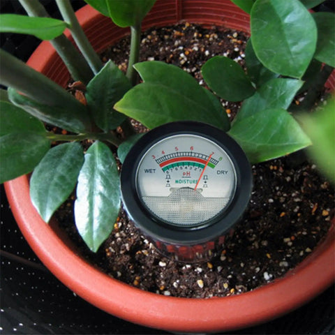All-In-One Soil pH And Moisture Meter For Garden, Lawn And Farm Use, indoor plant tester kit in potted plant soil