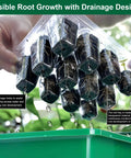 Seed Starter Tray Kit With Humidity Domes, 12 Pack 144 Cell Seedling Trays, drainage holes showing root visibility