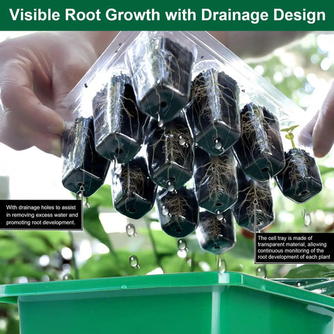 Seed Starter Tray Kit With Humidity Domes, 12 Pack 144 Cell Seedling Trays, drainage holes showing root visibility