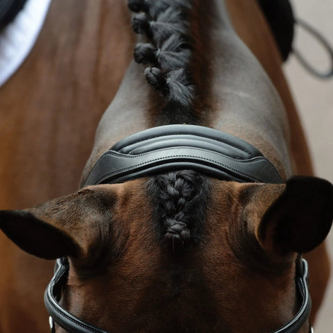 Top view of horse with ComFiTec Vogue Anatomical Bridle With Ultra Soft Padding Headpiece, Brown Warmblood Horse Tack is visible.