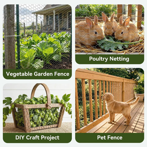 Chicken Wire Fencing Hex Mesh Roll 16 Inch By 50 Foot Galvanized Poultry Netting used in garden, poultry, DIY, and pet projects.