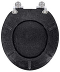 Deluxe Resin Maui Decorative Elongated Toilet Seat With Slow Close And No Slam Chrome Hinges For Coastal Beach House Decor Shells Theme Durable
