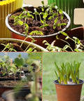 100 Pack Red 4 Inch Plastic Plant Pots For Seed Starting And Seedlings Lightweight Reusable Nursery Pots With Drainage Holes
