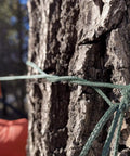 Braided Kevlar Paracord 1.1mm 200Lb Break Strength 30Ft Beefy Camo Green Tactical Cord tied to tree bark