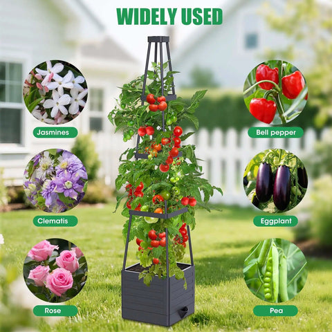 indoor tomato planter 2 Pack Tomato Planter With Trellis, Self-Watering Garden ✓