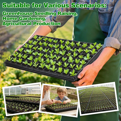 72 Cell Seed Trays With Drainage Trays For Seed Germination Durable Plastic Plant Trays 21 By 11 By 1.81 Inches Set Of 10 Great For Vegetables Flowers Herbs And Fruit Seed Starting