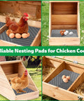 Washable Chicken Nesting Pads For Nesting Boxes, Reusable Hen Nesting Box Pads For Coop Bedding, Easy To Clean 12 By 12 Inches, Grey, 3 Pack, Helps Prevent Cracked Eggs And Keeps Nesting Quiet And Clean in a chicken coop with eggs.