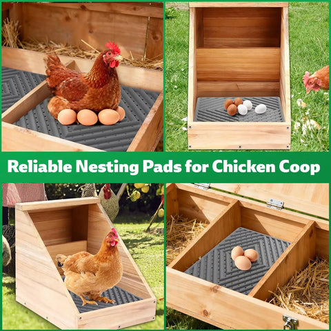 Washable Chicken Nesting Pads For Nesting Boxes, Reusable Hen Nesting Box Pads For Coop Bedding, Easy To Clean 12 By 12 Inches, Grey, 3 Pack, Helps Prevent Cracked Eggs And Keeps Nesting Quiet And Clean in a chicken coop with eggs.