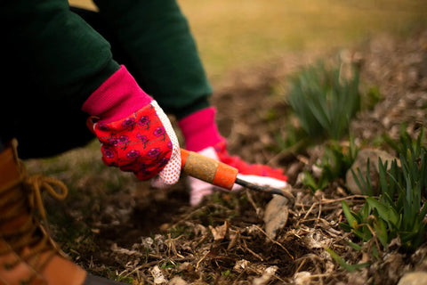 Gardener using a trowel with Soft Jersey Garden Gloves For Women Three Pack Assorted Colors Green Red Blue With Flower Print And Knit Wrist 100 Percent Cotton PVC Dots For Strong Grip And All Day Comfortable Gardening.