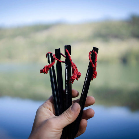 Hand holding Beefy 16 Pack 7075 Aluminum Tent Stakes 7.25 Inch Long Heavy Duty Ground Pegs Rust Resistant For Camping Canopy And Tarp