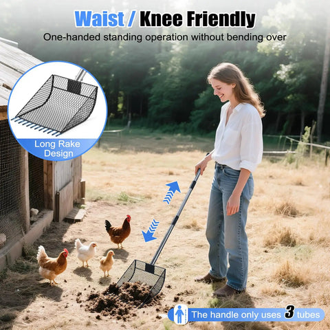 Person using Waist Friendly No Bend 2 In 1 Chicken Poop Scooper And Rake With Adjustable Stainless Steel Handle From 24 To 68 Inches Heavy Duty Metal Litter Scoop For Chicken Coops And Animal Housing Sand Sifting Shovel Easy One Hand Or Two Hand Use outdoors with chickens.