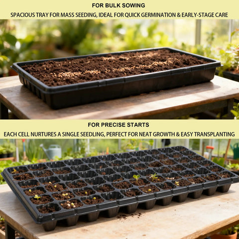 20 Pack Seed Starter Tray Set With 10 1020 Trays And 10 72 Cell Plug Trays Thick Durable Plastic Propagation Trays For Seedlings Microgreens Fodder Plants Garden Nursery Kit With Labels And Tools