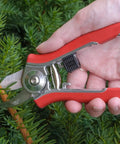 ColorPoint Stainless Steel Compact Pruning Shears With Quarter Inch Cutting Capacity, held in hand among green foliage