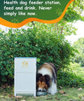 Heavy Duty Automatic Dog Feeder Holds A Ton Of Twenty Five Pounds Of Dry Kibble Rugged Galvanized Steel Outdoor Pet Bowl Station With Paw Pressed Door For Big Dogs Built Tough For Busy Parents with collie dog eating.