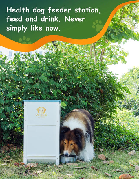 Heavy Duty Automatic Dog Feeder Holds A Ton Of Twenty Five Pounds Of Dry Kibble Rugged Galvanized Steel Outdoor Pet Bowl Station With Paw Pressed Door For Big Dogs Built Tough For Busy Parents with collie dog eating.