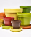 Colorful terra cotta planters in various sizes, showcasing the Spray On Crystal Clear Acrylic Sealer For Crafts 12 Oz Gloss Finish That Dries Quick Non Yellowing No Run Protective Coating For Paper Wood Fabric Multi Surface And More effect.