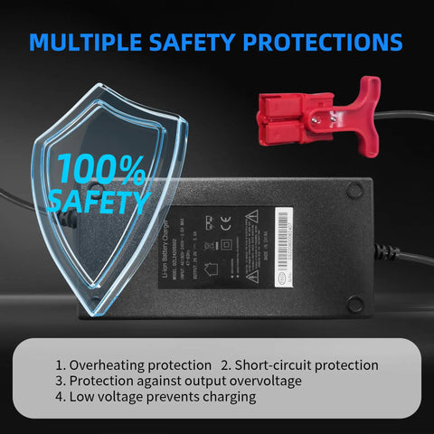Heavy Hitter 29.4 Volt 6 Amp Forklift Battery Charger For Hella Fast Lithium Ion Charging Compatible With Pallet Trucks And Warehouse Gear Solid Build To Keep Your Team Operating Smooth