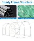 Walk In Greenhouse For Outdoor Use Heavy Duty Galvanized Steel Hoop House With PE Cover frame and material details