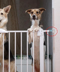 Gate Hardware Mount Kit With Threaded Screw Rods And Spindle Adapter For Staircase Safety Gates Easy Installation Sturdy ABS And Steel Construction Ideal For Baby Proofing And Pets In Doorways, wall-mounted pet gate with threaded rod