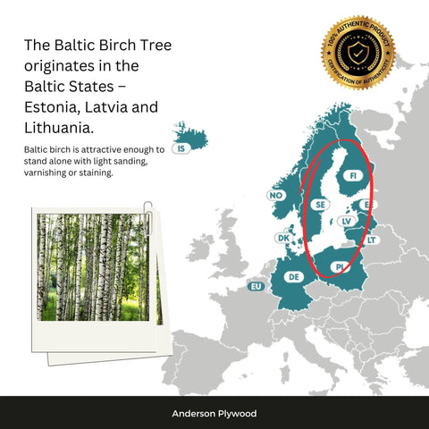 Map highlighting Baltic States, origin of Baltic birch trees, with inset of tree image.