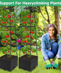 2 Pack Tomato Planter Pots With Raised Bed Trellis And 45 Inch Climbing Cages With Tomatoes Supported by Trellis