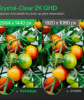 Comparison of tomato plants captured by a 2K QHD Smart Grow Camera For Indoor Tents And Grow Boxes with 2.4GHz WiFi.