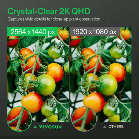Comparison of tomato plants captured by a 2K QHD Smart Grow Camera For Indoor Tents And Grow Boxes with 2.4GHz WiFi.