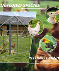 Outdoor chicken coop with chickens, rabbit, and parrot images, highlighting habitat options for poultry, rabbits, and birds.