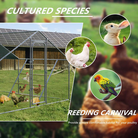 Outdoor chicken coop with chickens, rabbit, and parrot images, highlighting habitat options for poultry, rabbits, and birds.
