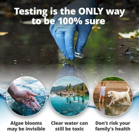Blue Green Algae And Cyanobacteria Test Kit For Backyard Ponds Delivers No Sweat Application Plus Straight Shooter Accuracy testing water for safety.