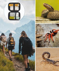 Beefed Up Snake Bite Kit With Venom Extractor Suction Pump for Humans And Pets, shown with hiking and insects