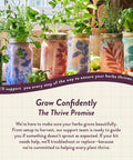 Dope Mason Garden Jar Self Watering Hydroponics Kit With Organic Herb Seeds showcasing various herb jars on a countertop