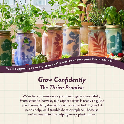 Dope Mason Garden Jar Self Watering Hydroponics Kit With Organic Herb Seeds showcasing various herb jars on a countertop
