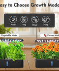 Indoor Hydroponics Growing System With 12 Pod Kit Grow Light Adjustable Height Auto Timer Ultra Quiet Pump Smart Indoor Herb Garden