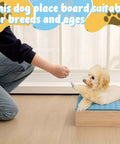 Dog on blue training platform 11.81 x 11.81 x 3.94 inch, practicing on a Dog Training Platform With Non Slip Surface Place Board for indoor use