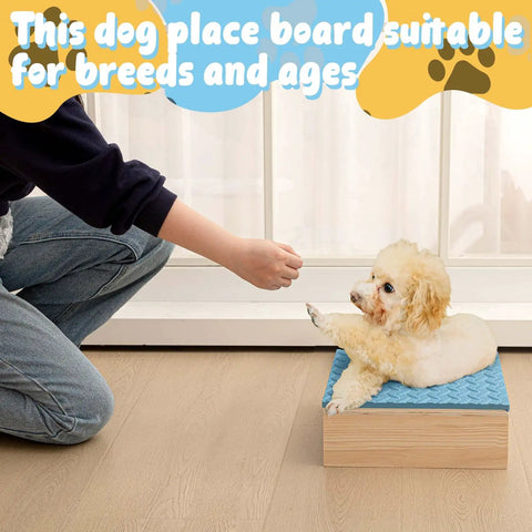 Dog on blue training platform 11.81 x 11.81 x 3.94 inch, practicing on a Dog Training Platform With Non Slip Surface Place Board for indoor use