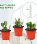 4 Inch Seed Starter Pots Pack Of 100 With Labels For Seedlings And Small Plants Durable Plastic Nursery Pots Perfect For Succulents Flowers Herbs And Urban Garden Projects, with labels in use and dimensions displayed.