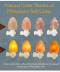 Natural color shades of Pink Himalayan Salt Lamps Hand Carved Natural Night Lights For Bedrooms And Home Decor.
