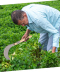 Man using Long Handle Manganese Steel Grass Sickle For Weeding And Harvesting, Hand Tool With Wooden Grip in garden