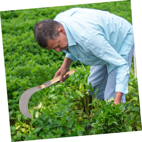Man using Long Handle Manganese Steel Grass Sickle For Weeding And Harvesting, Hand Tool With Wooden Grip in garden