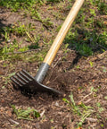 Heavy Duty Steel Rake Hoe with Wood Handle and Five Wide Tines for quick cultivation, on a garden bed, 55 inch reach, outdoor use.