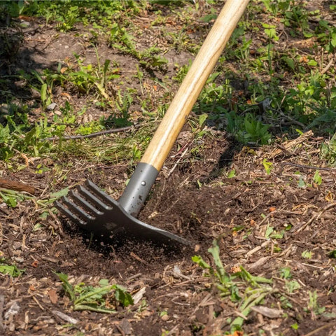 Heavy Duty Steel Rake Hoe with Wood Handle and Five Wide Tines for quick cultivation, on a garden bed, 55 inch reach, outdoor use.